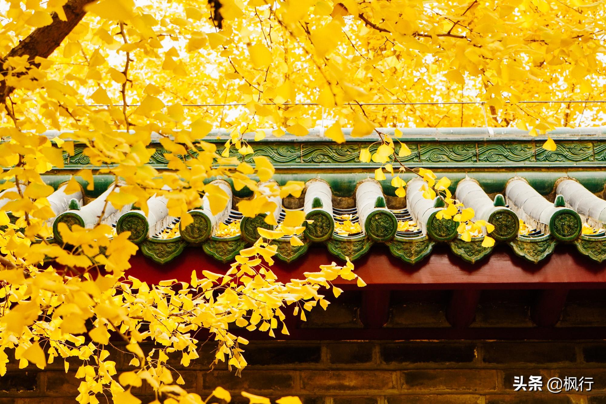 北京红螺寺旅游攻略_北京红螺寺2021年图片_北京红螺寺的位置