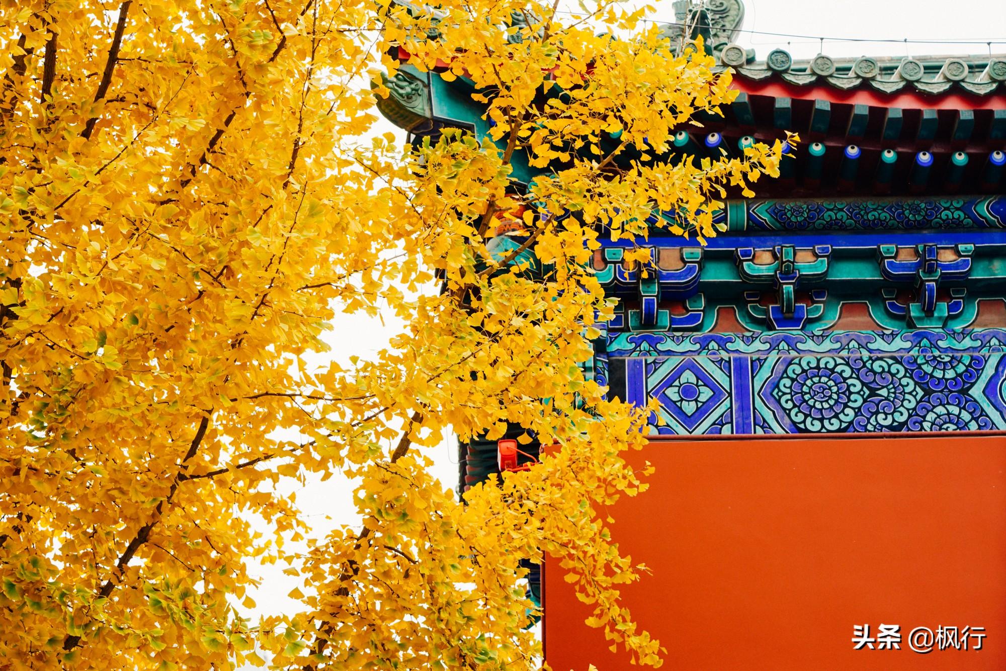 北京红螺寺2021年图片_北京红螺寺的位置_北京红螺寺旅游攻略