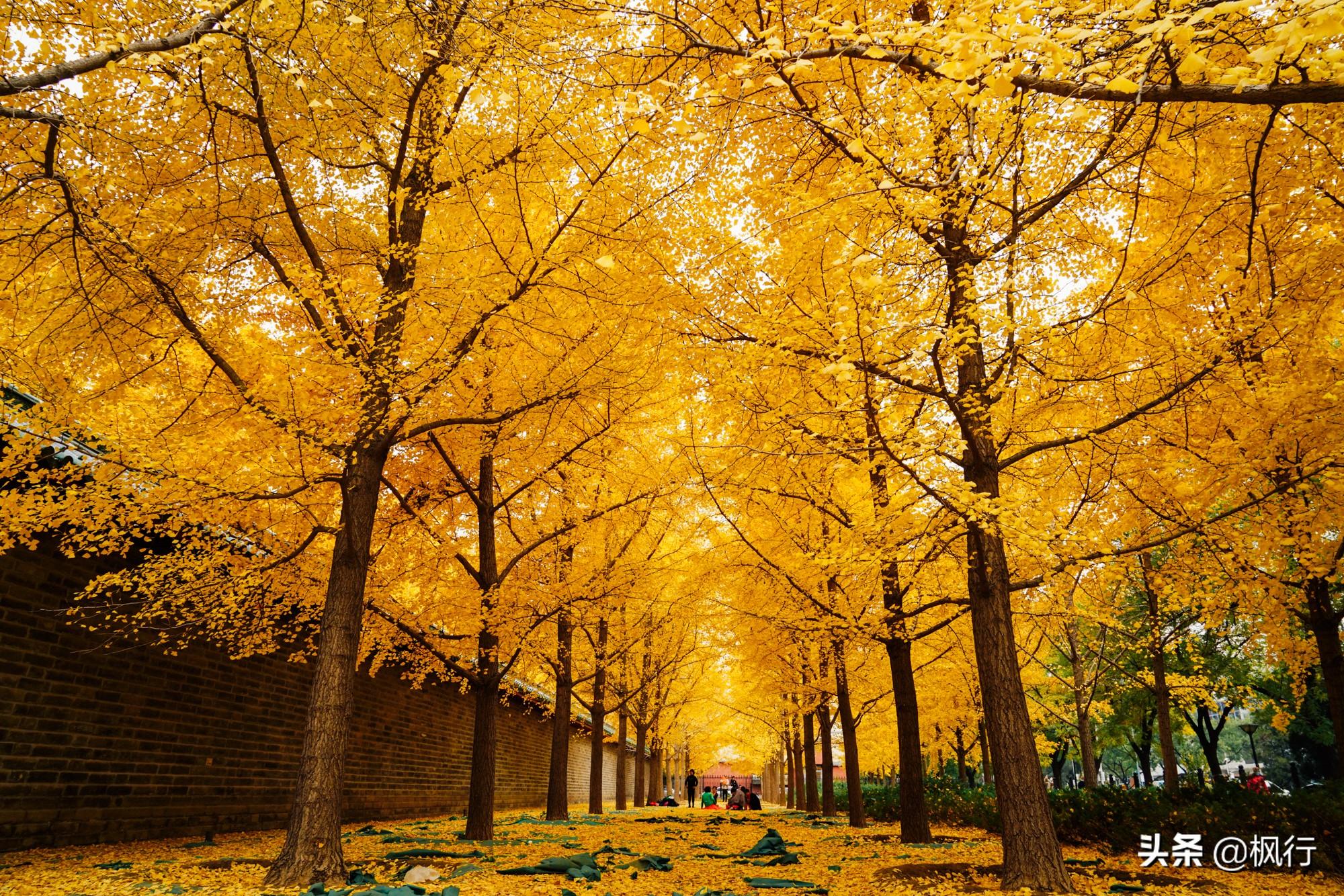 北京红螺寺2021年图片_北京红螺寺的位置_北京红螺寺旅游攻略