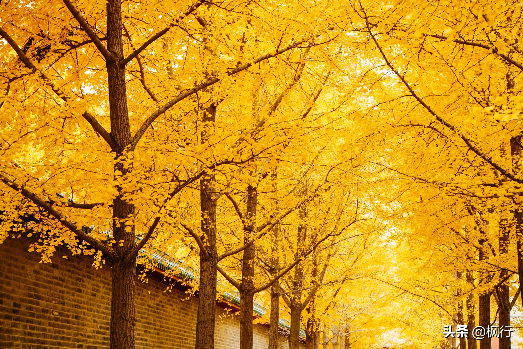 北京红螺寺2021年图片_北京红螺寺的位置_北京红螺寺旅游攻略