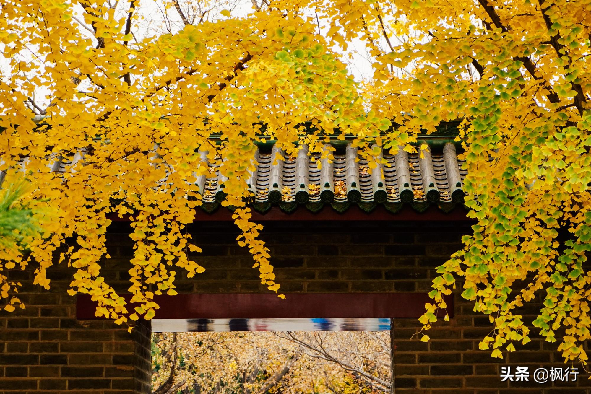 北京红螺寺的位置_北京红螺寺旅游攻略_北京红螺寺2021年图片