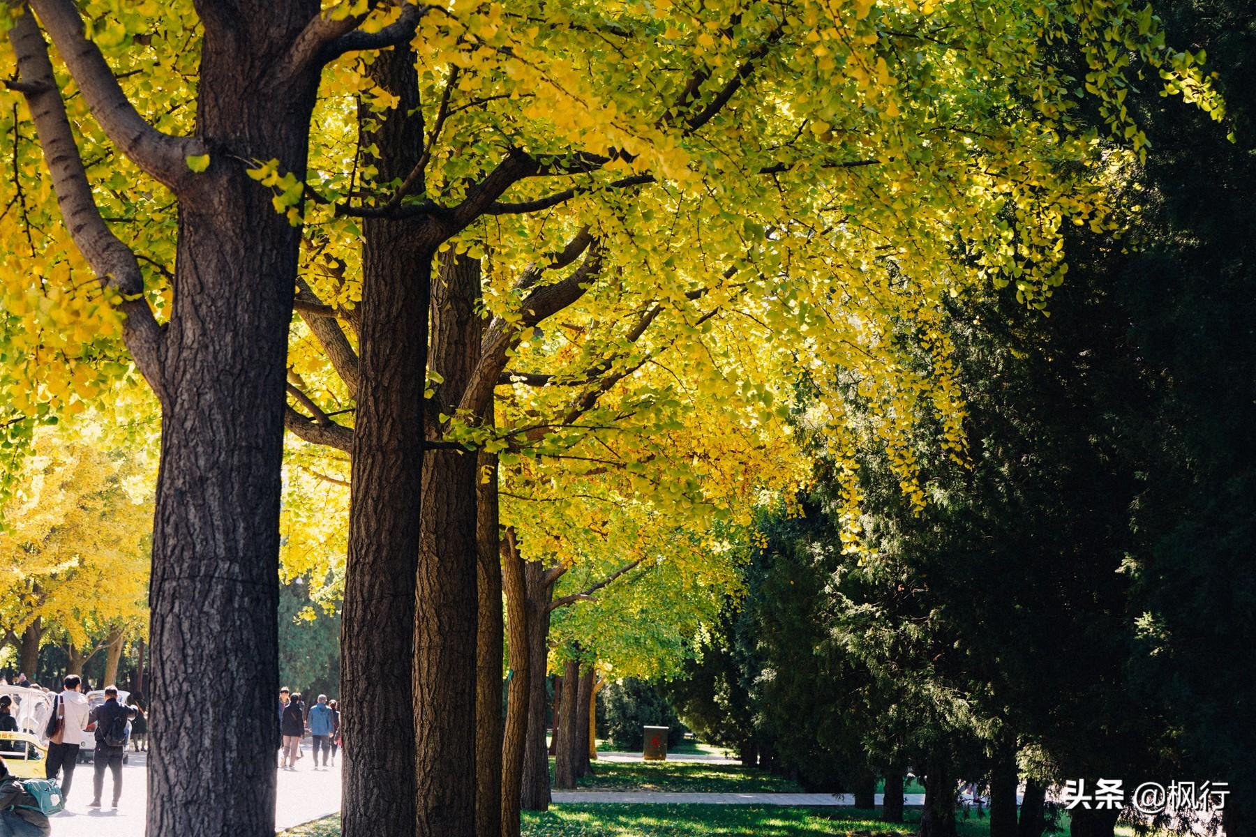 北京红螺寺的位置_北京红螺寺旅游攻略_北京红螺寺2021年图片