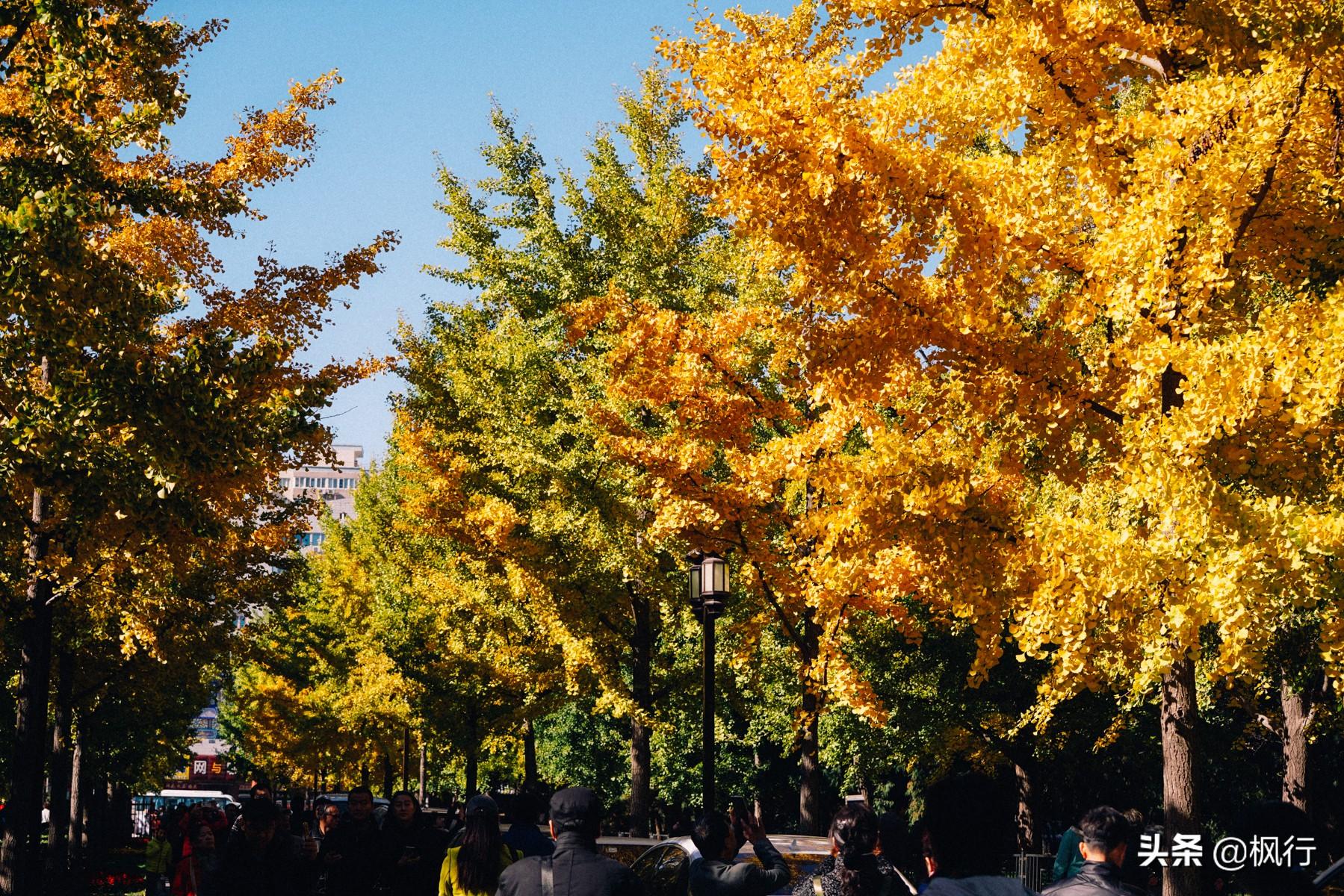 北京红螺寺旅游攻略_北京红螺寺2021年图片_北京红螺寺的位置