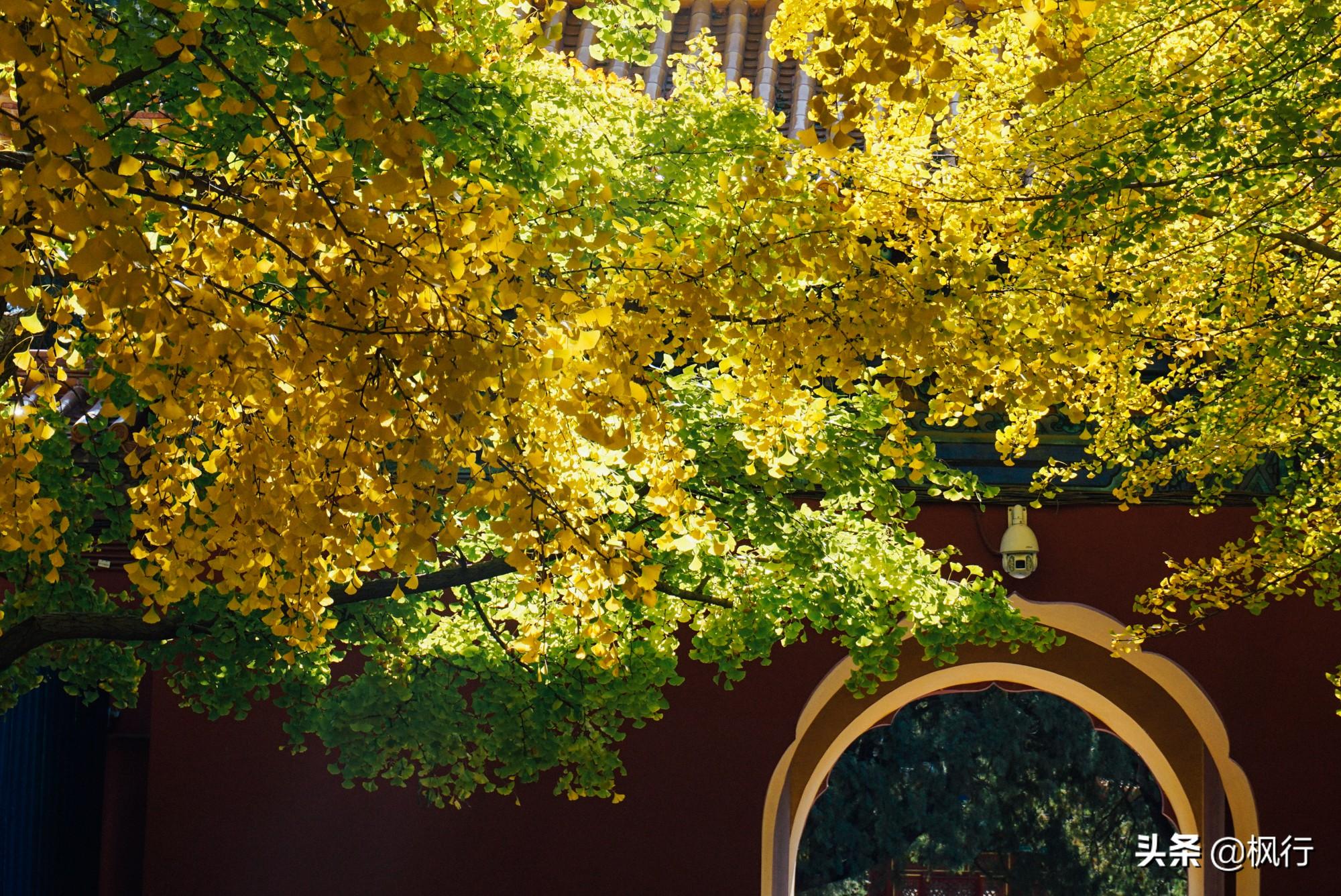 北京红螺寺旅游攻略_北京红螺寺的位置_北京红螺寺2021年图片