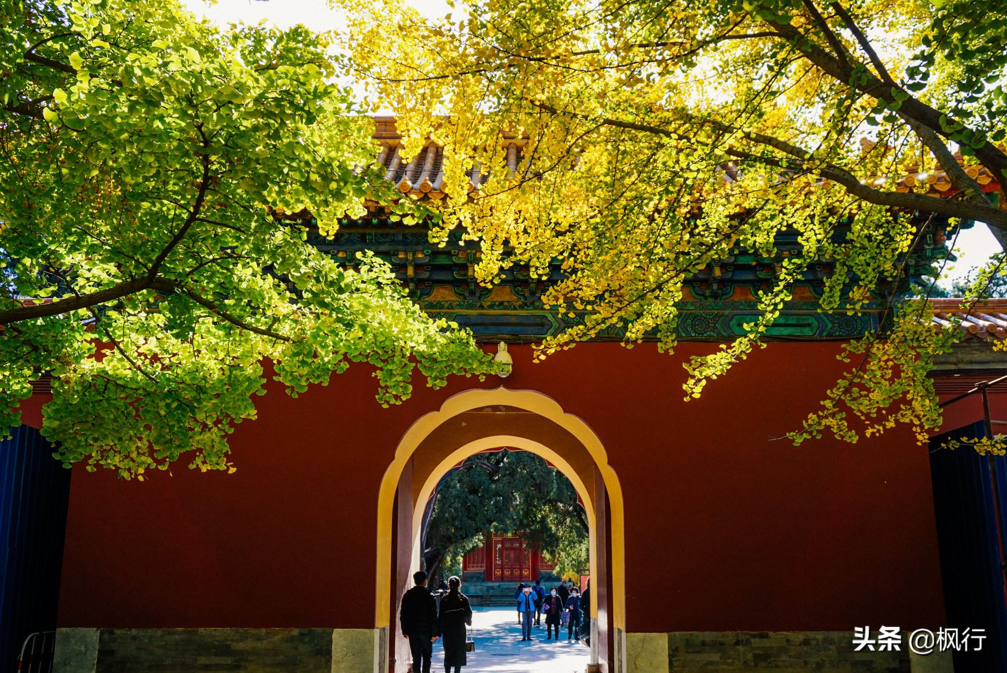 北京红螺寺的位置_北京红螺寺2021年图片_北京红螺寺旅游攻略