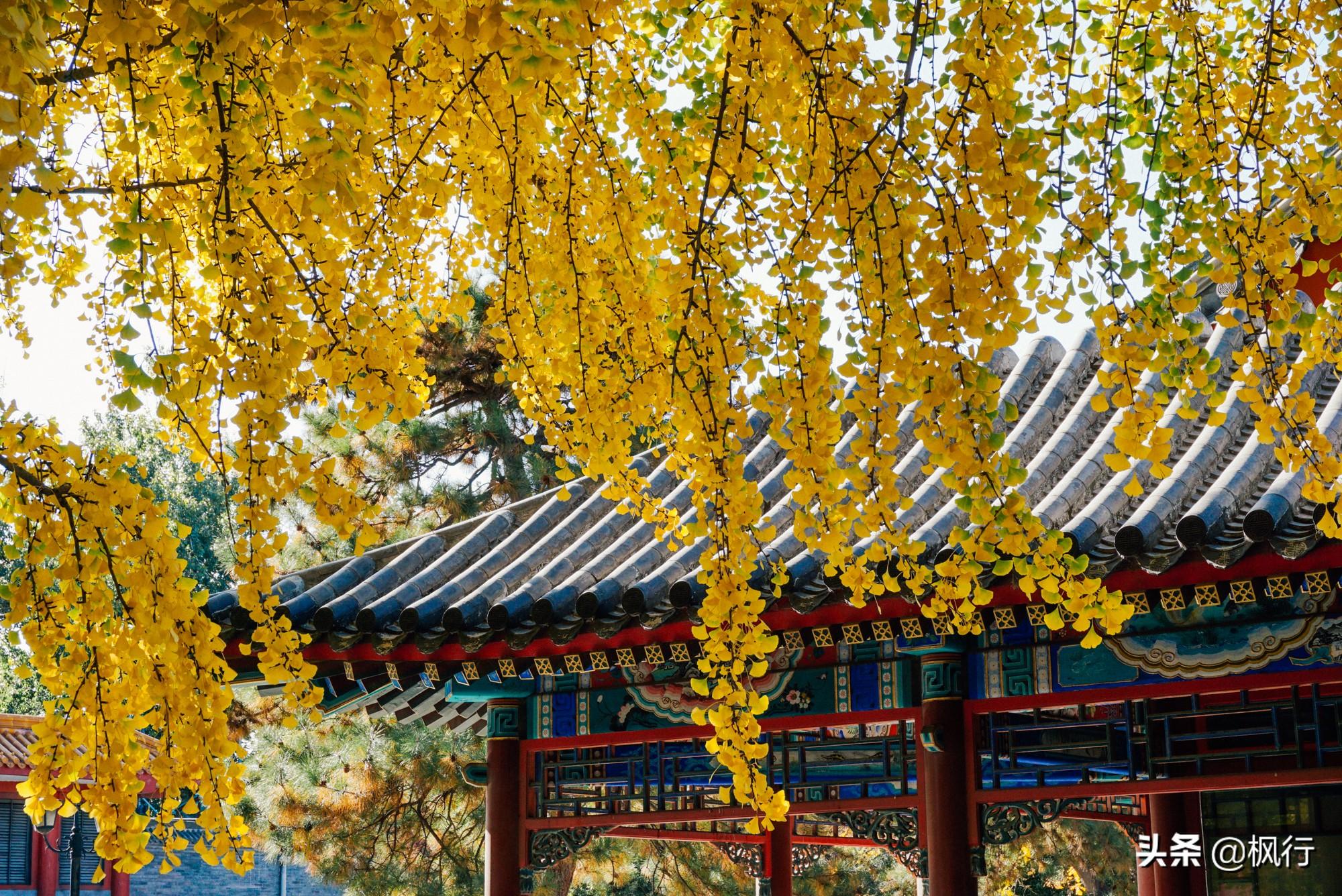 北京红螺寺的位置_北京红螺寺2021年图片_北京红螺寺旅游攻略