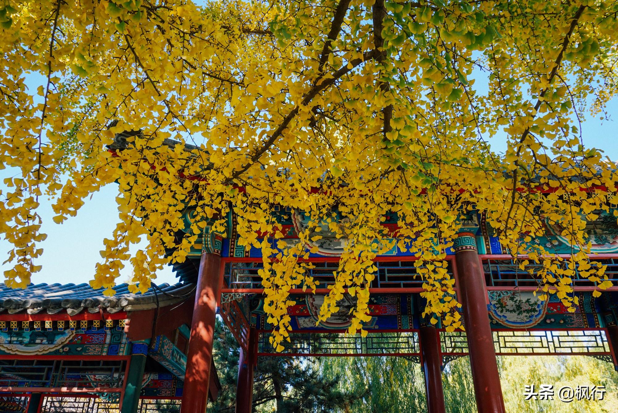 北京红螺寺旅游攻略_北京红螺寺的位置_北京红螺寺2021年图片