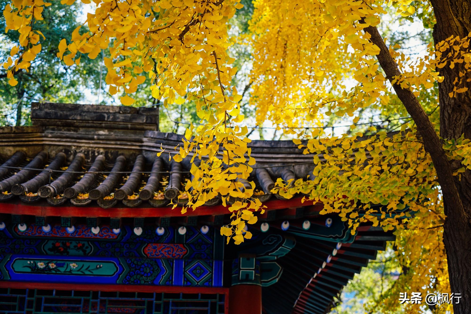 北京红螺寺的位置_北京红螺寺旅游攻略_北京红螺寺2021年图片