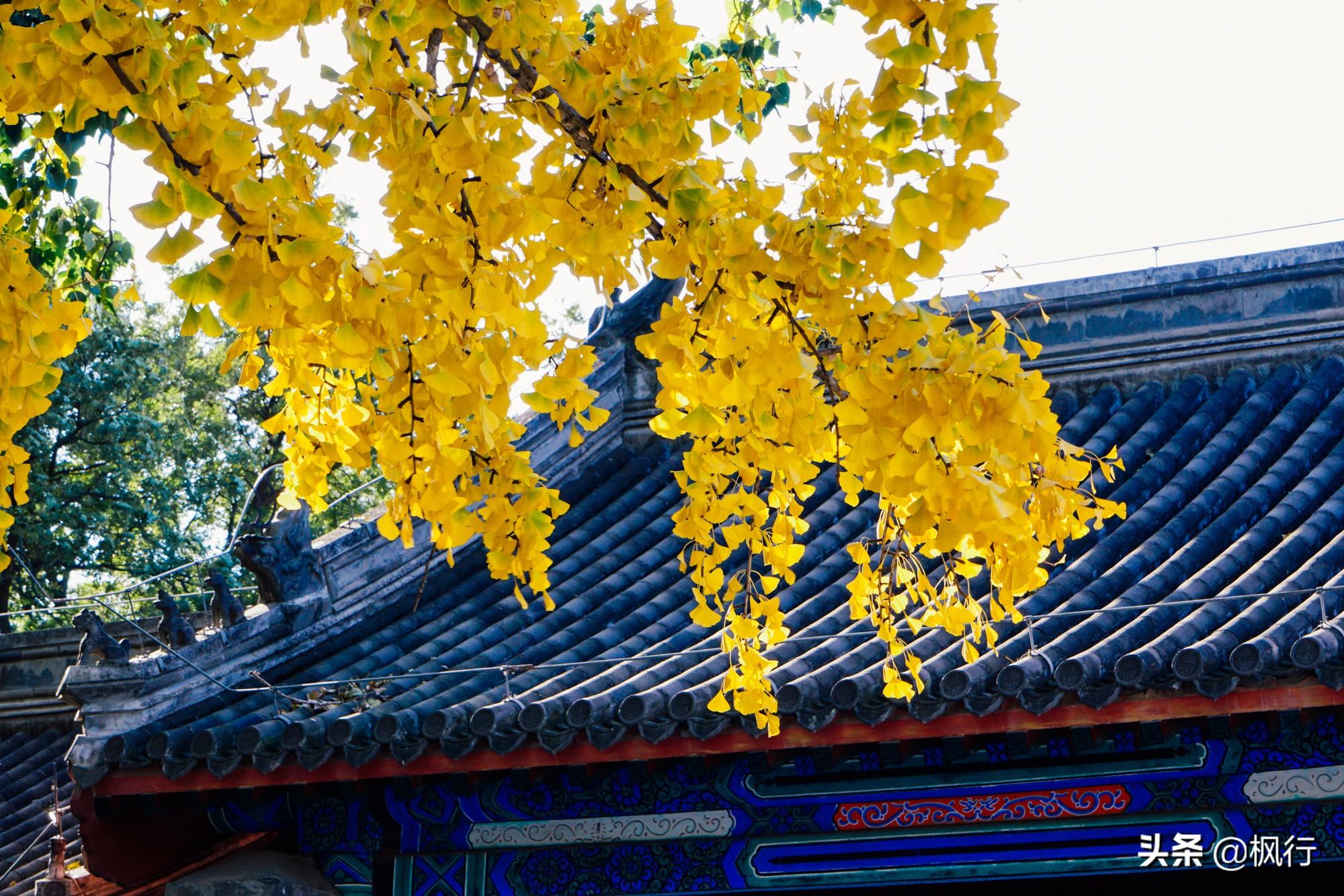 北京红螺寺的位置_北京红螺寺2021年图片_北京红螺寺旅游攻略