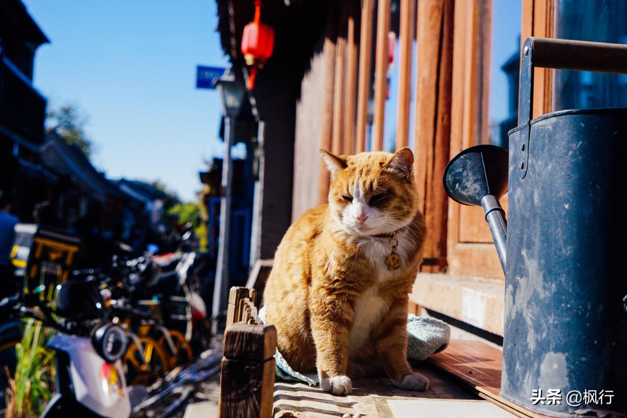 北京红螺寺的位置_北京红螺寺2021年图片_北京红螺寺旅游攻略