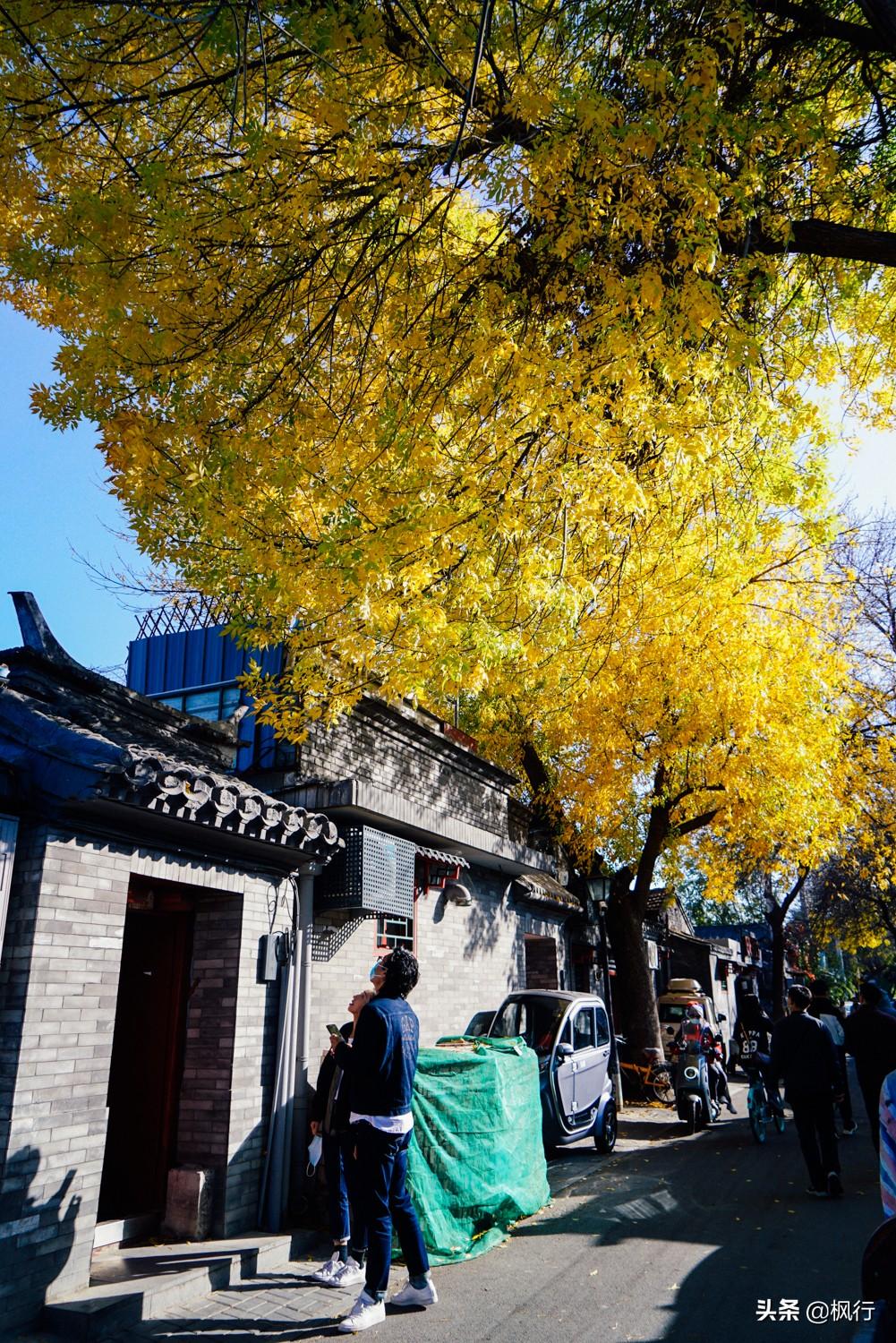 北京红螺寺的位置_北京红螺寺2021年图片_北京红螺寺旅游攻略