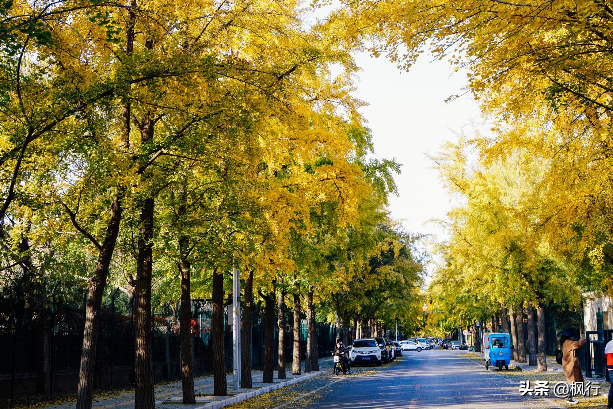 北京红螺寺旅游攻略_北京红螺寺的位置_北京红螺寺2021年图片