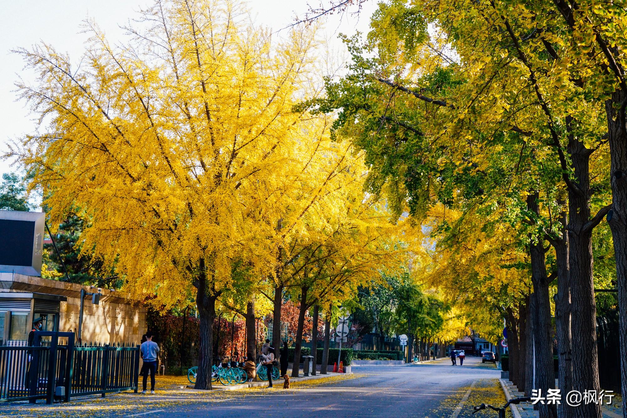 北京红螺寺旅游攻略_北京红螺寺2021年图片_北京红螺寺的位置