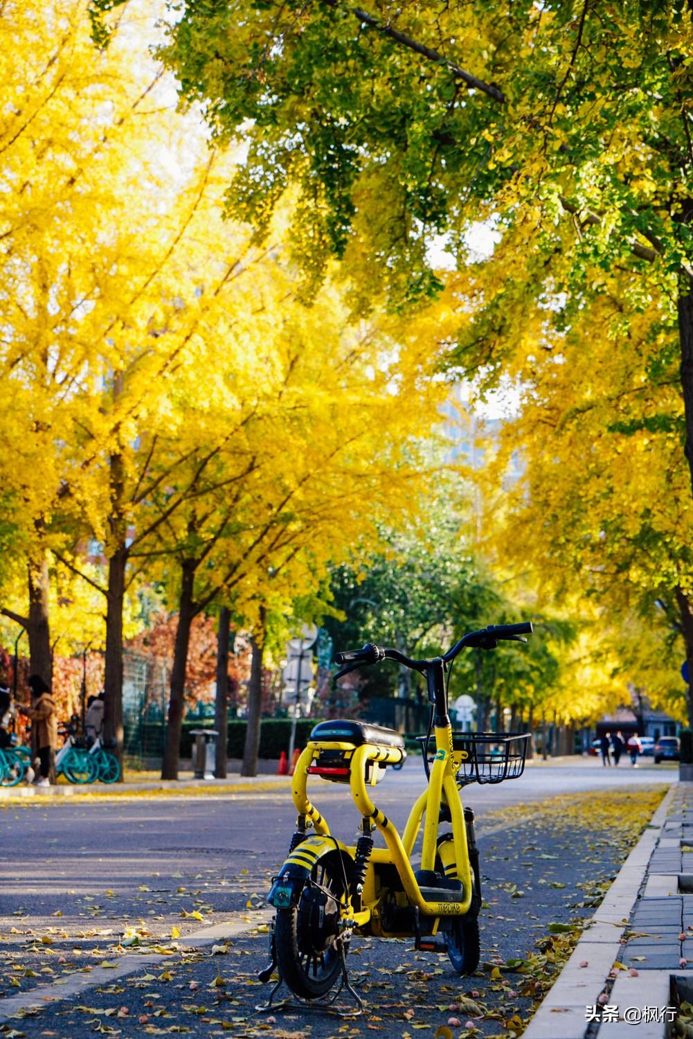 北京红螺寺2021年图片_北京红螺寺旅游攻略_北京红螺寺的位置