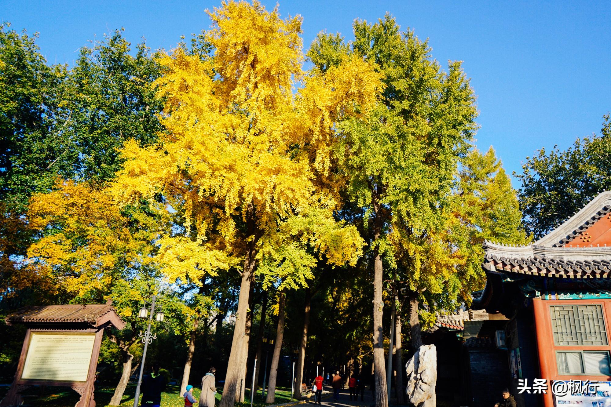 北京红螺寺旅游攻略_北京红螺寺的位置_北京红螺寺2021年图片