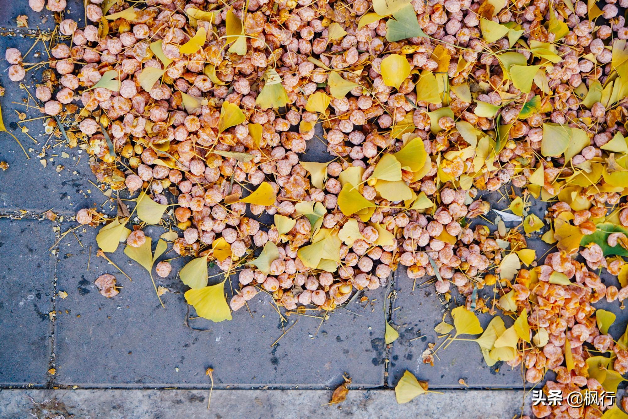 北京红螺寺旅游攻略_北京红螺寺的位置_北京红螺寺2021年图片