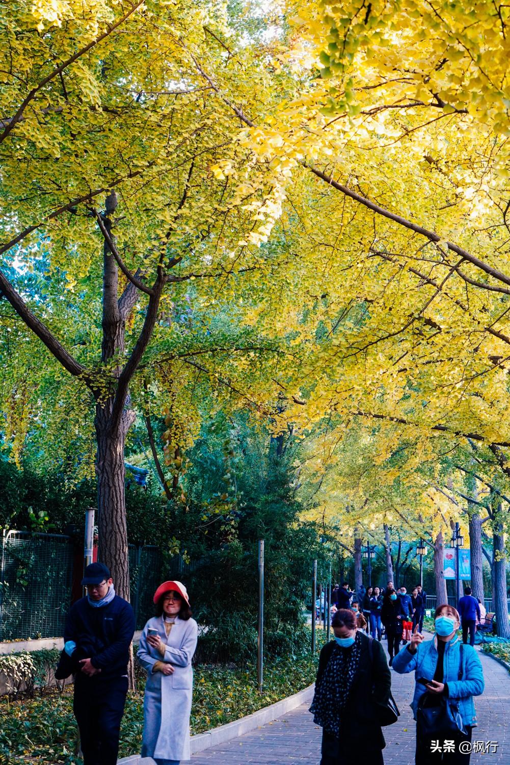 北京红螺寺的位置_北京红螺寺2021年图片_北京红螺寺旅游攻略