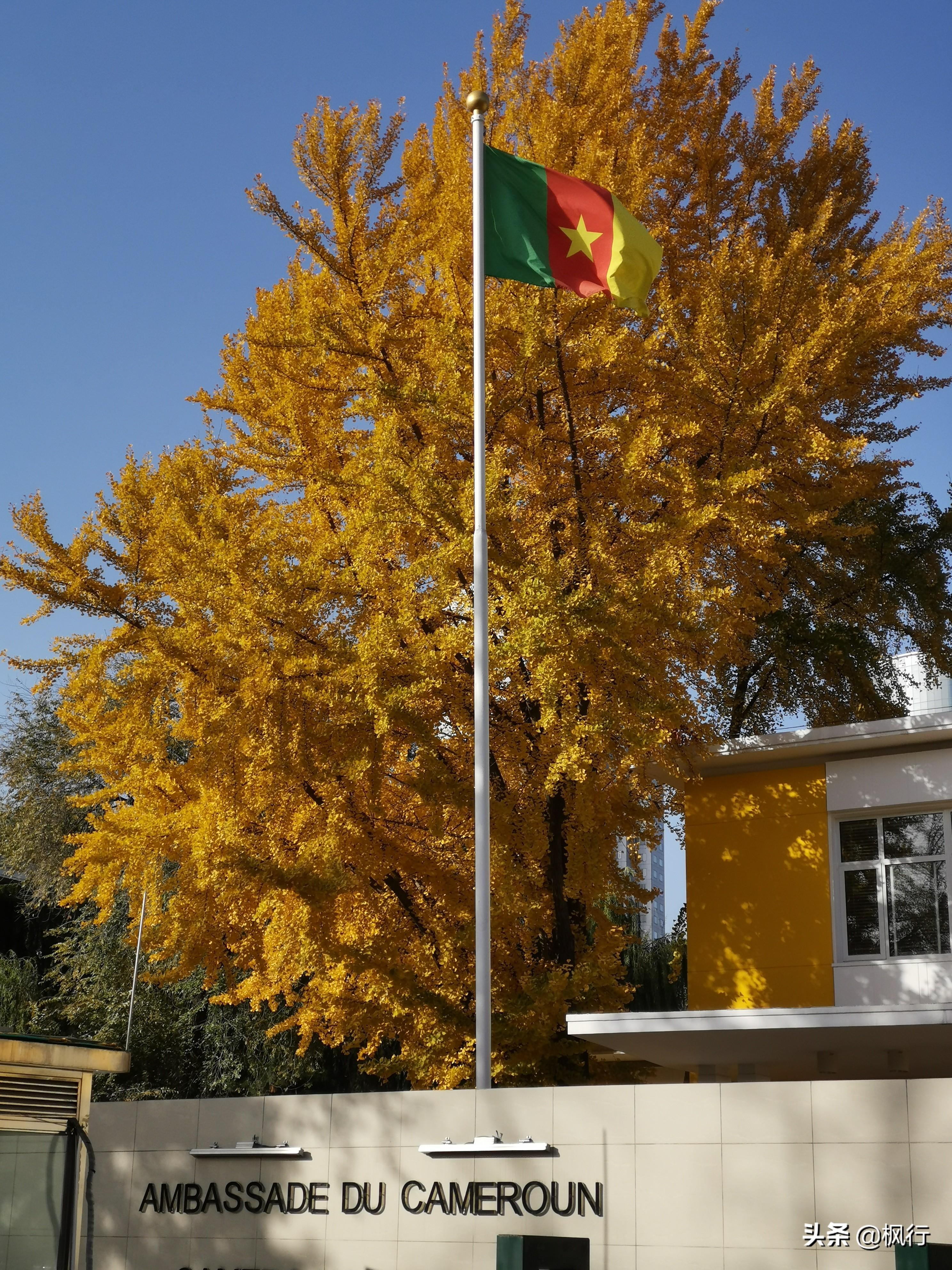 北京红螺寺2021年图片_北京红螺寺旅游攻略_北京红螺寺的位置