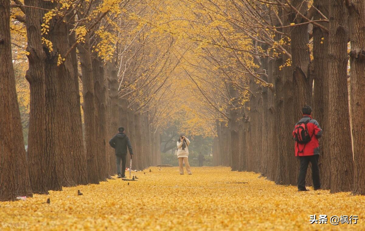北京红螺寺旅游攻略_北京红螺寺的位置_北京红螺寺2021年图片