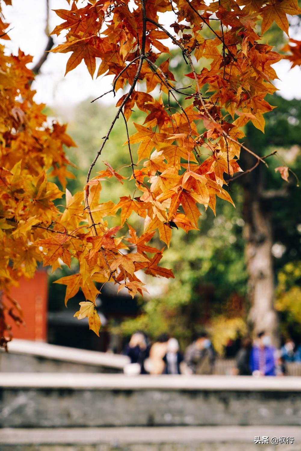北京红螺寺2021年图片_北京红螺寺的位置_北京红螺寺旅游攻略