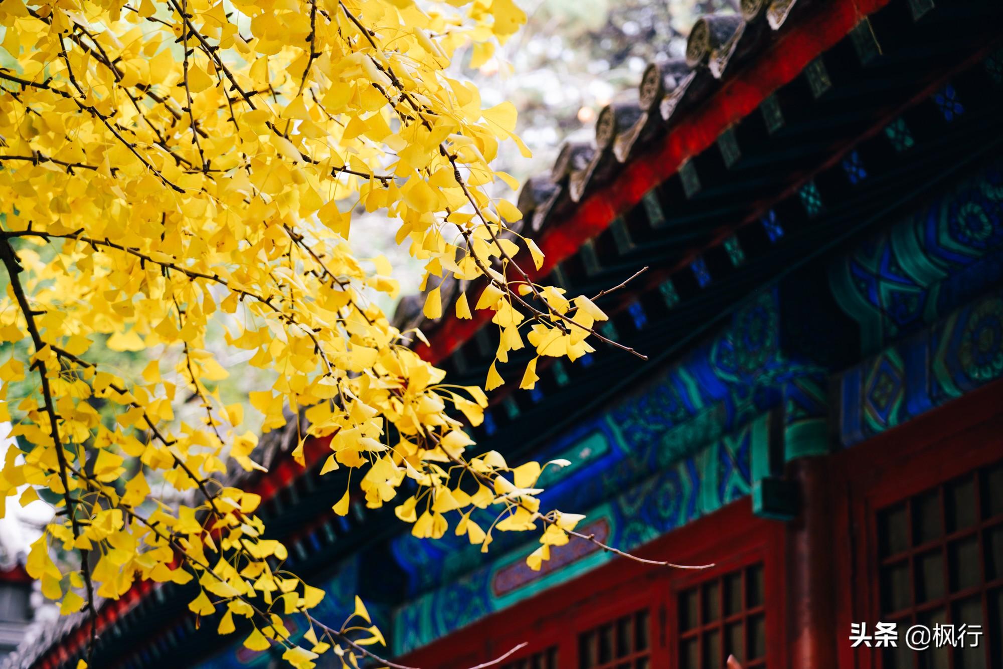 北京红螺寺的位置_北京红螺寺2021年图片_北京红螺寺旅游攻略