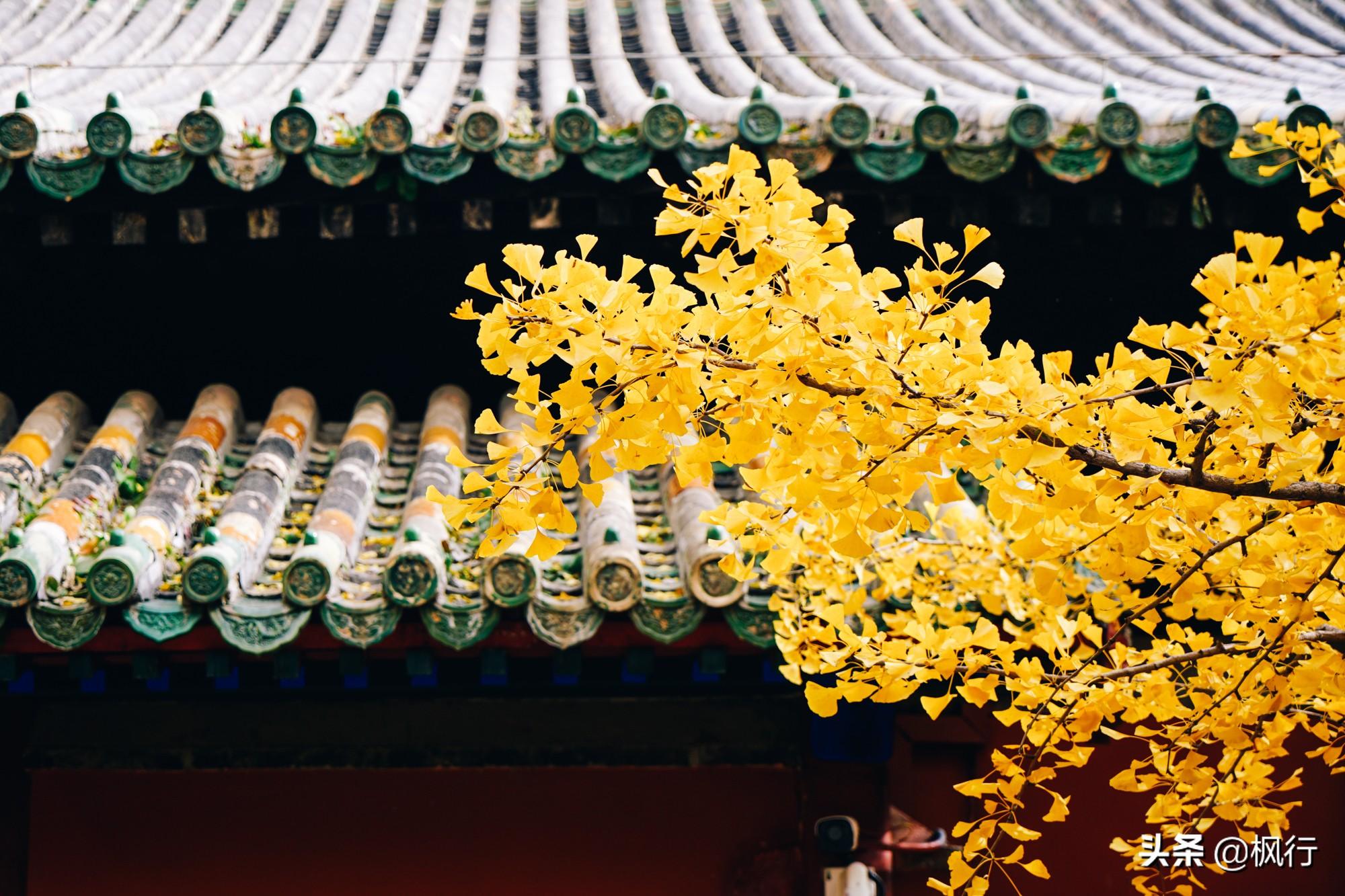 北京红螺寺旅游攻略_北京红螺寺2021年图片_北京红螺寺的位置