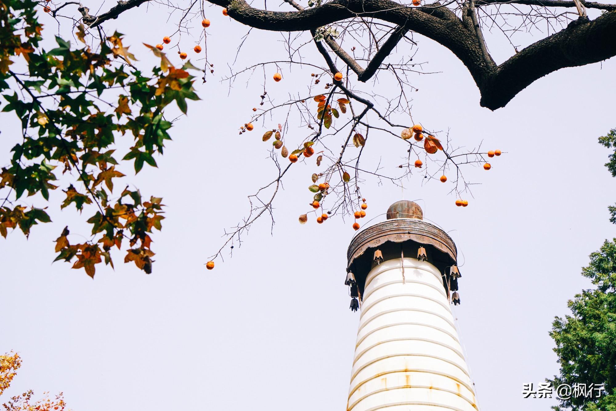 北京红螺寺2021年图片_北京红螺寺旅游攻略_北京红螺寺的位置