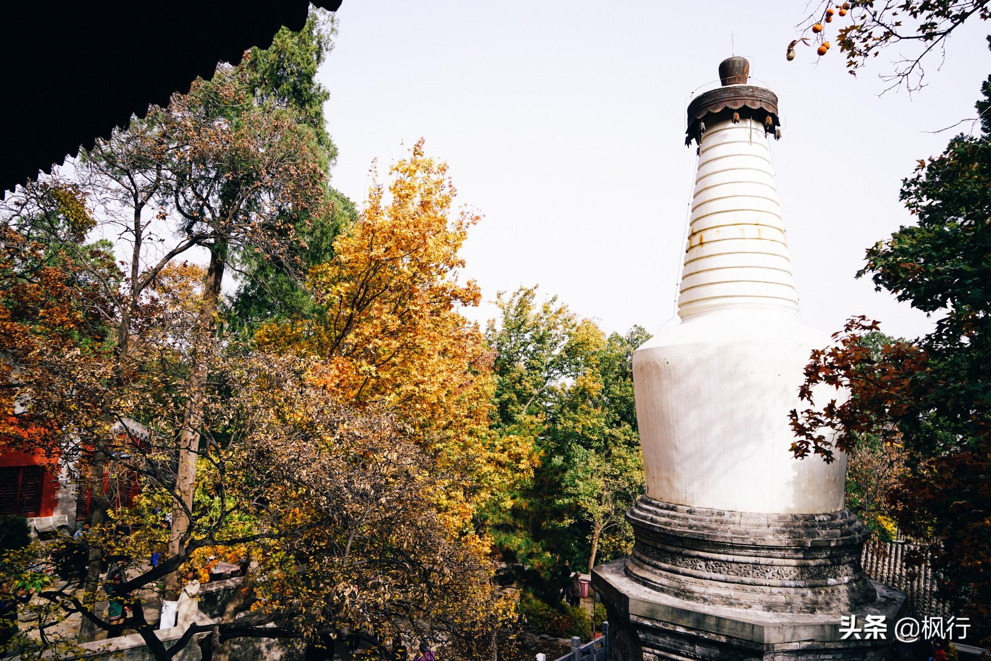 北京红螺寺旅游攻略_北京红螺寺2021年图片_北京红螺寺的位置