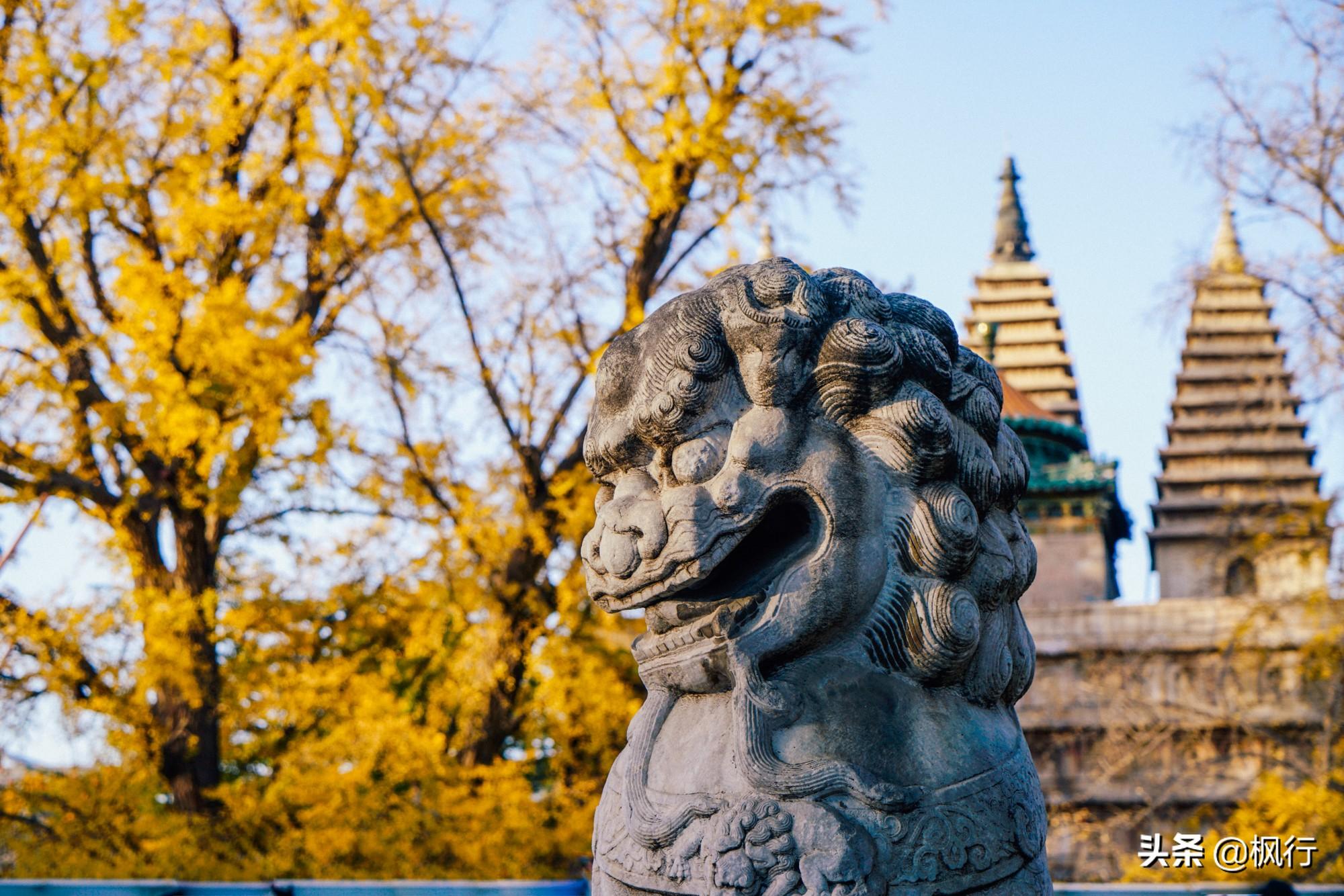 北京红螺寺的位置_北京红螺寺2021年图片_北京红螺寺旅游攻略
