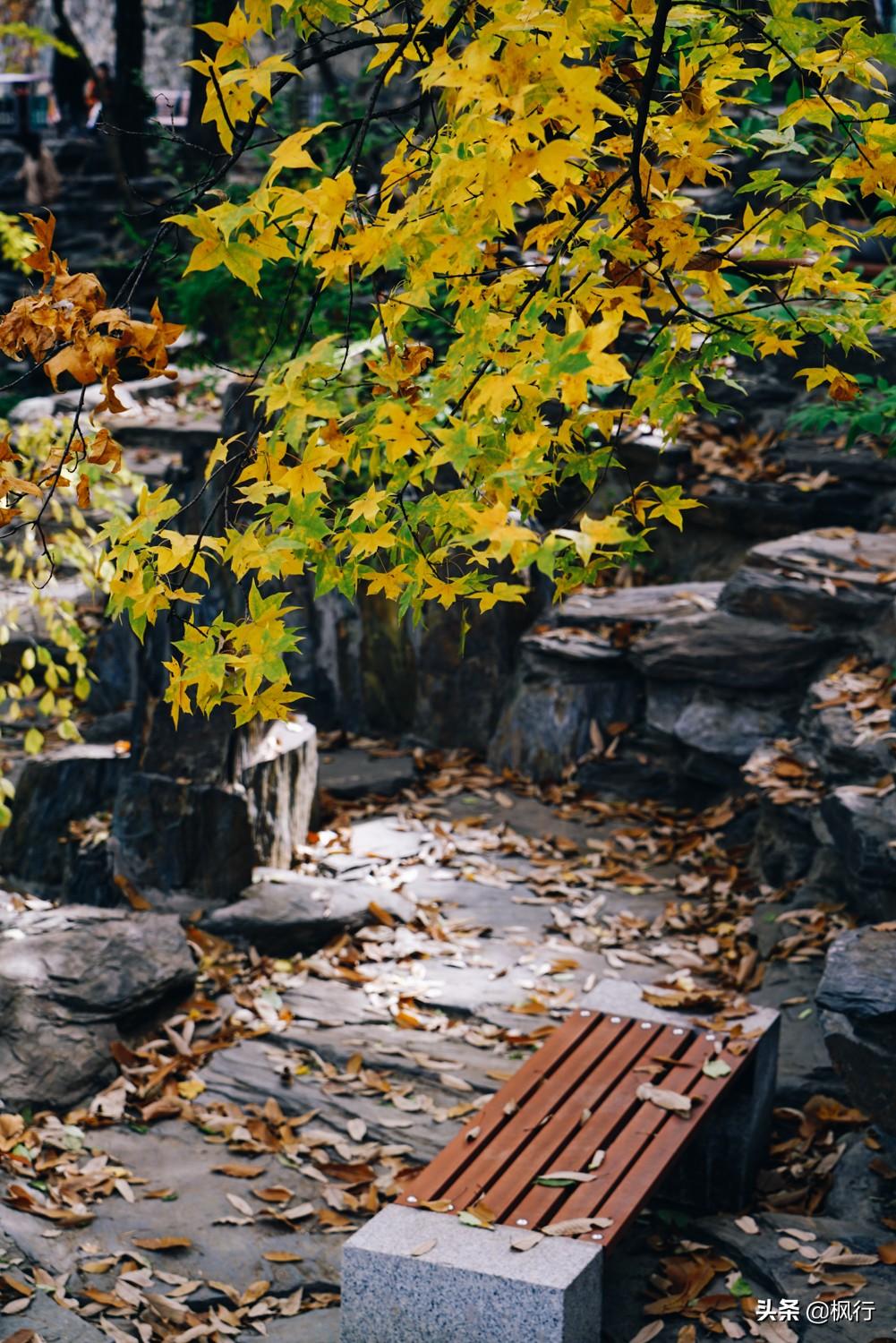 北京红螺寺旅游攻略_北京红螺寺的位置_北京红螺寺2021年图片