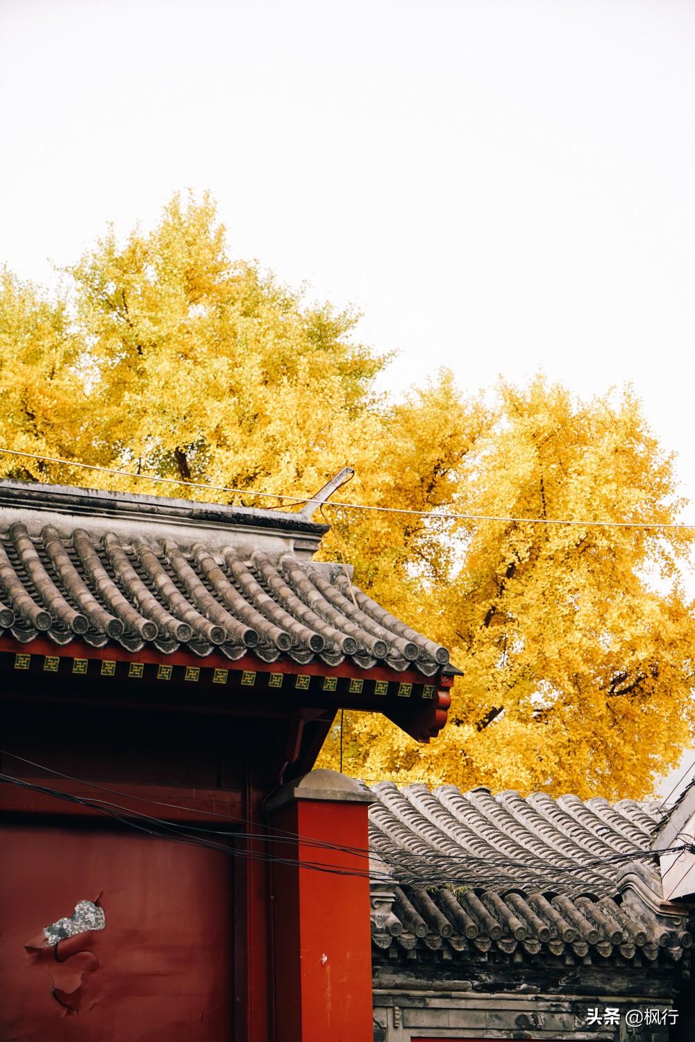 北京红螺寺的位置_北京红螺寺旅游攻略_北京红螺寺2021年图片