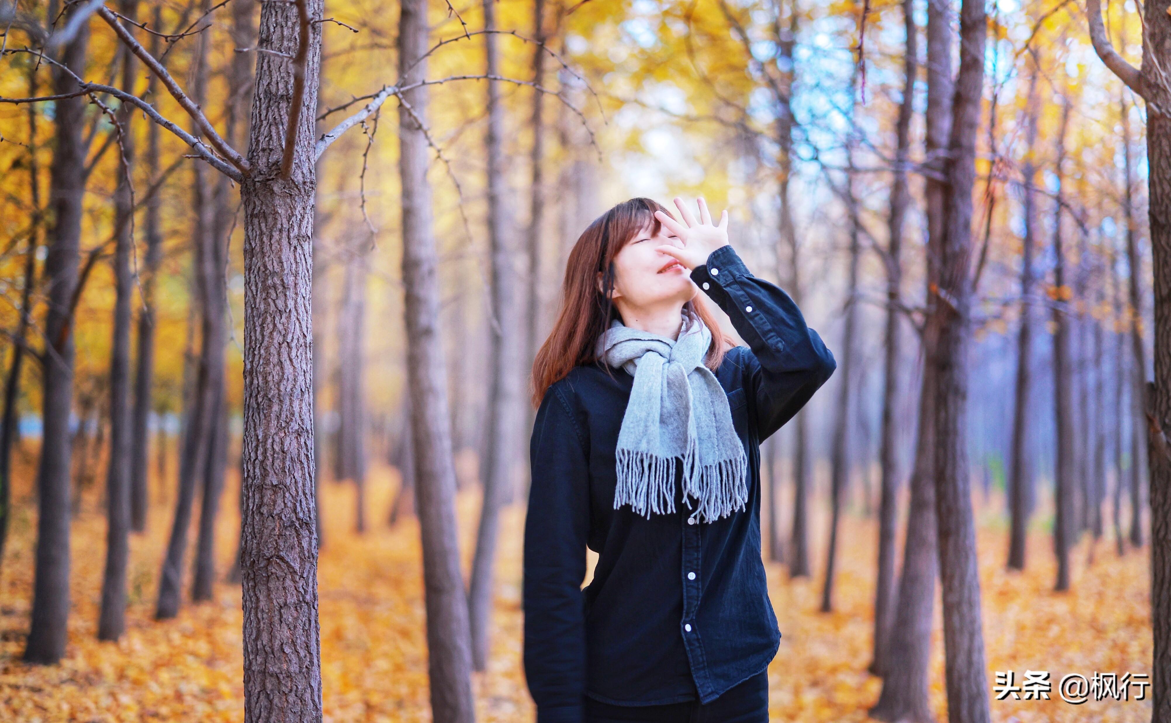 北京红螺寺旅游攻略_北京红螺寺的位置_北京红螺寺2021年图片