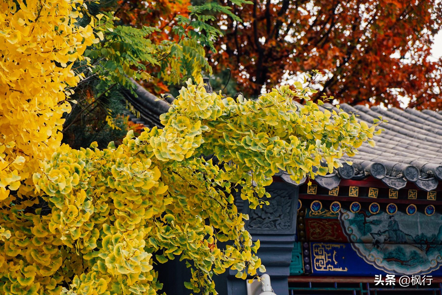 北京红螺寺旅游攻略_北京红螺寺的位置_北京红螺寺2021年图片