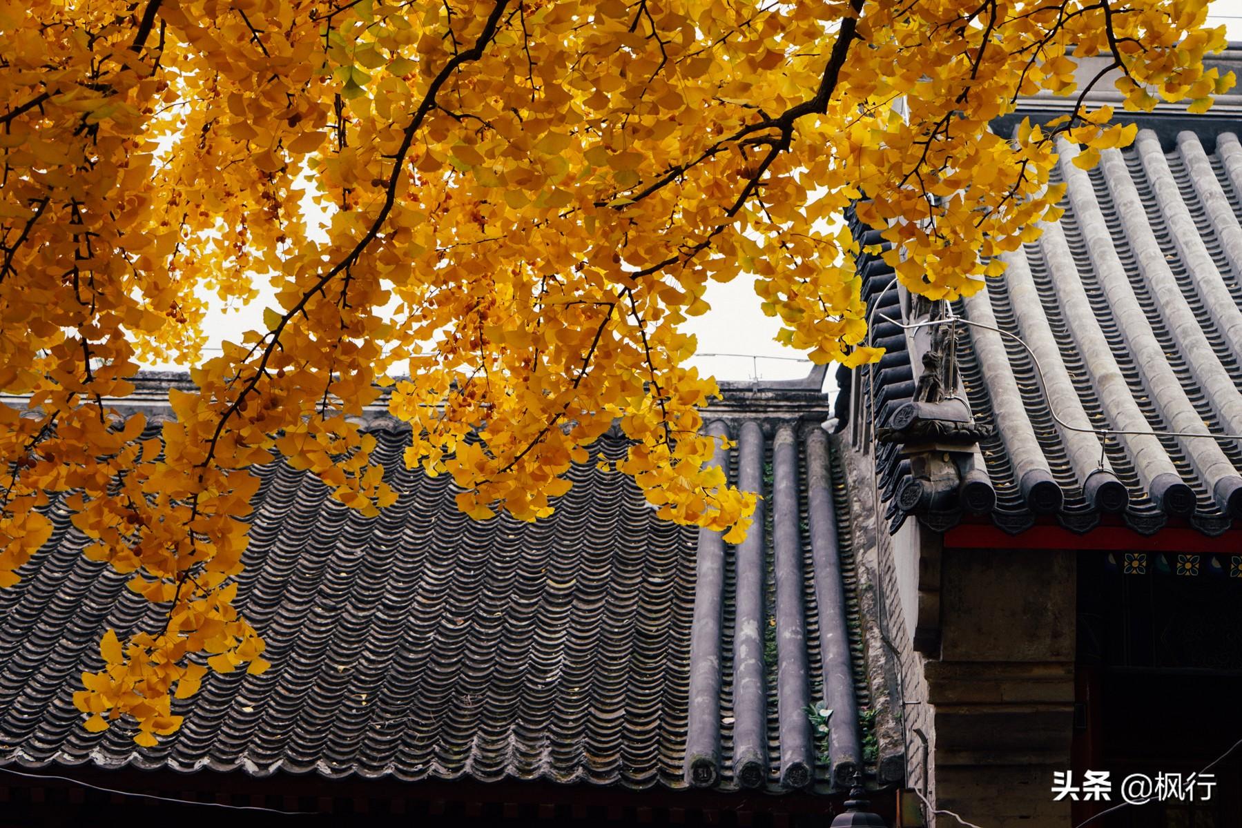 北京红螺寺的位置_北京红螺寺2021年图片_北京红螺寺旅游攻略