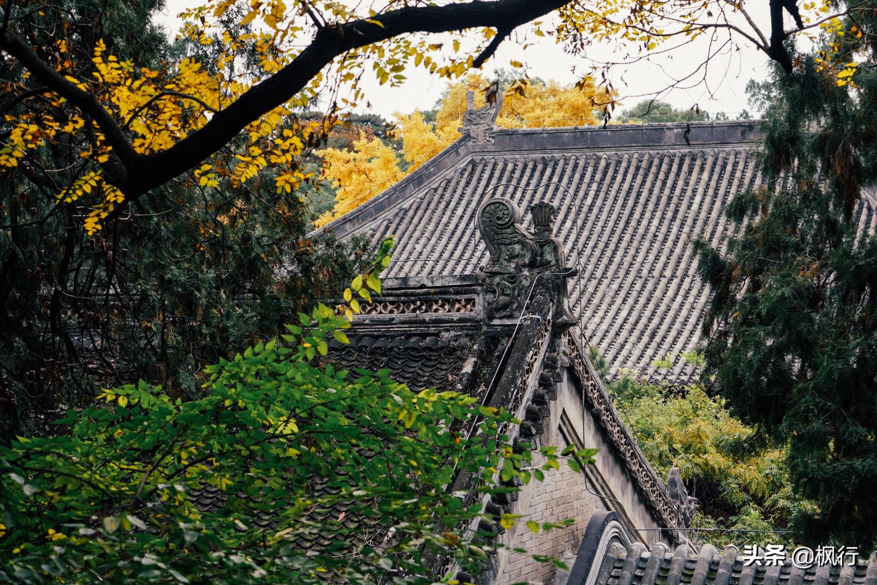 北京红螺寺旅游攻略_北京红螺寺2021年图片_北京红螺寺的位置