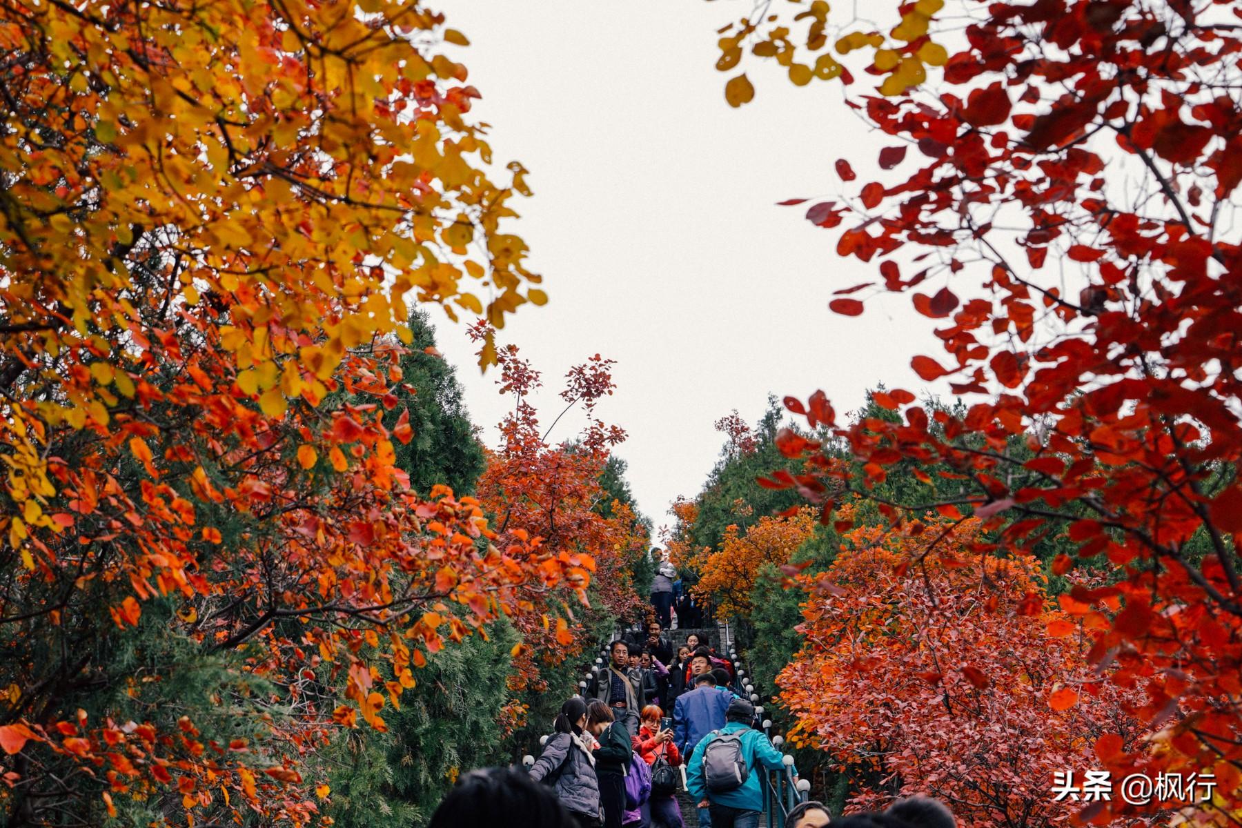 北京红螺寺的位置_北京红螺寺2021年图片_北京红螺寺旅游攻略