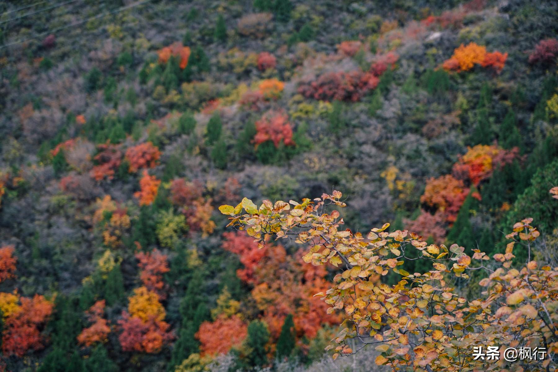 北京红螺寺旅游攻略_北京红螺寺2021年图片_北京红螺寺的位置