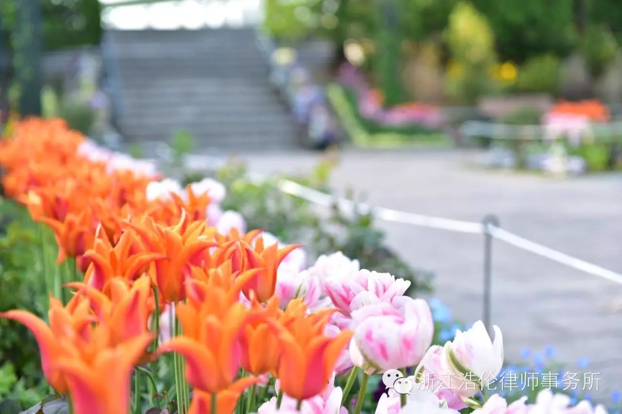 日本川崎旅游攻略-日本川崎有什么好玩的(图107) 日本川崎有什么好玩的_日本川崎旅游攻略_日本川崎旅游景点