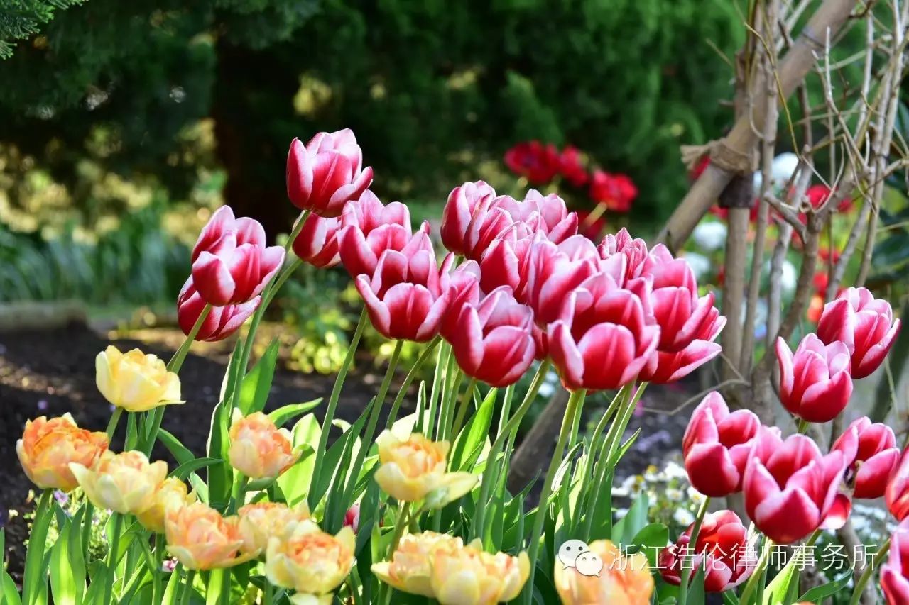 日本川崎旅游攻略-日本川崎有什么好玩的(图108) 日本川崎旅游景点_日本川崎旅游攻略_日本川崎有什么好玩的