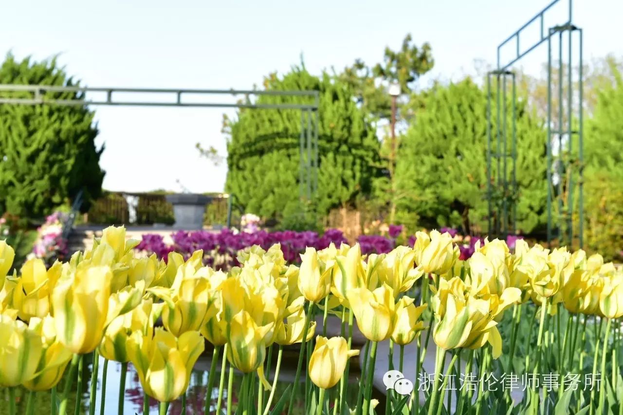 日本川崎旅游攻略-日本川崎有什么好玩的(图109) 日本川崎旅游攻略_日本川崎有什么好玩的_日本川崎旅游景点