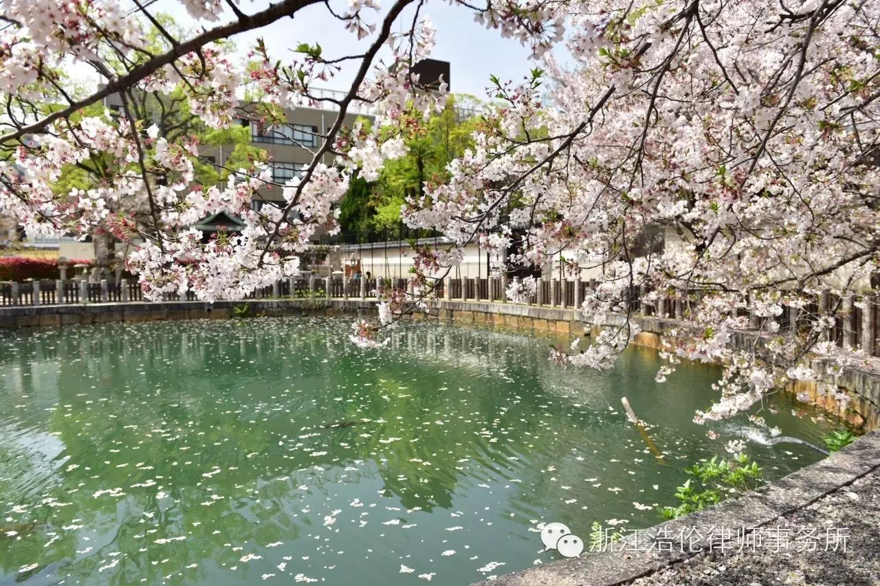 日本川崎旅游攻略-日本川崎有什么好玩的(图12) 日本川崎有什么好玩的_日本川崎旅游攻略_日本川崎旅游景点