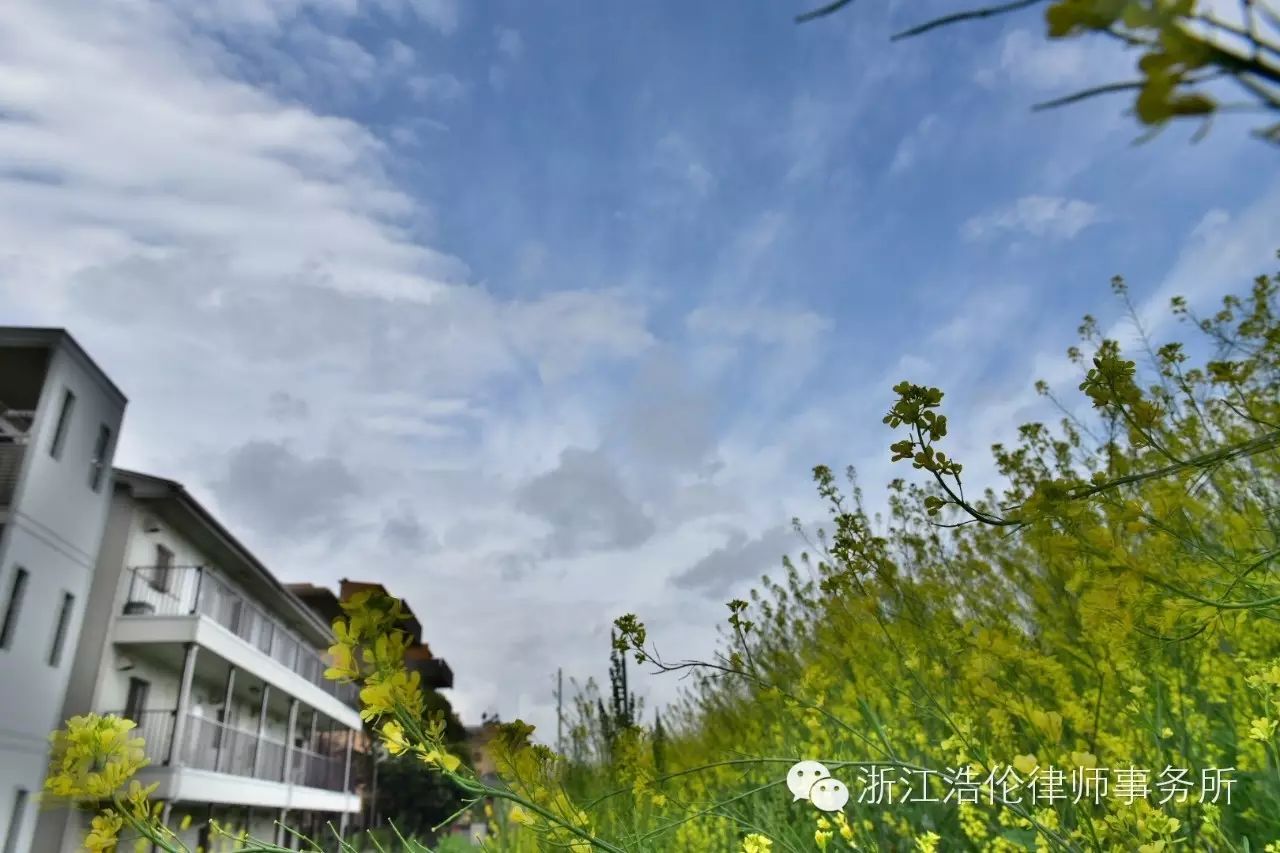 日本川崎旅游攻略-日本川崎有什么好玩的(图126) 日本川崎旅游景点_日本川崎有什么好玩的_日本川崎旅游攻略