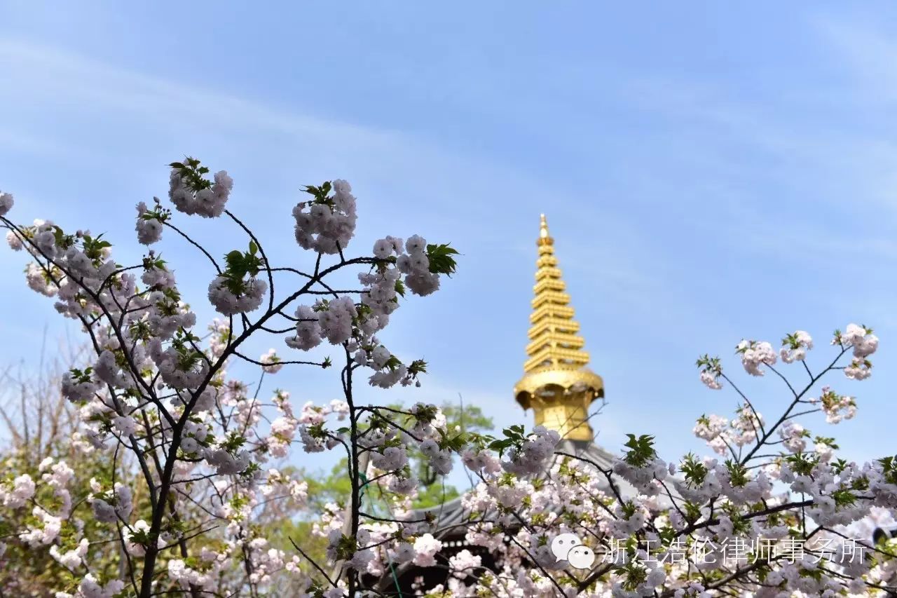 日本川崎旅游攻略-日本川崎有什么好玩的(图16) 日本川崎旅游攻略_日本川崎旅游景点_日本川崎有什么好玩的