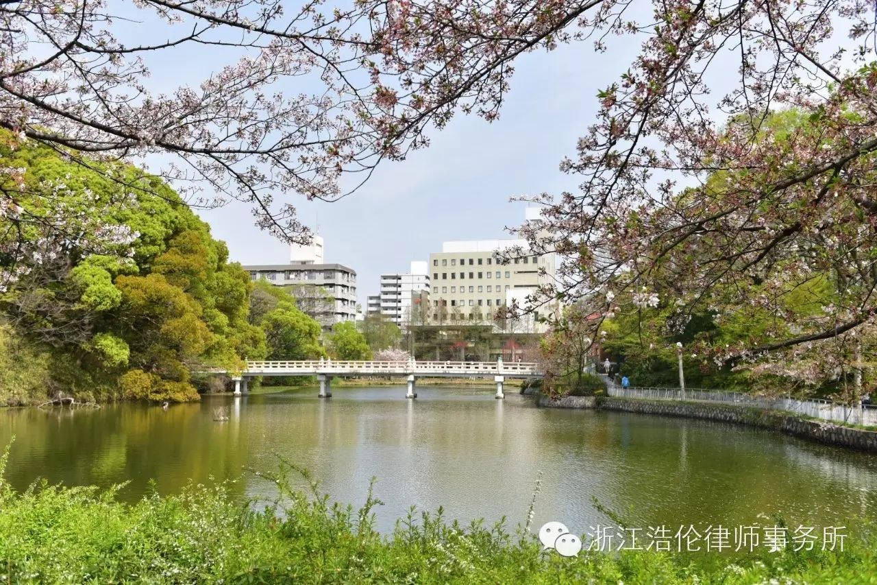日本川崎旅游攻略-日本川崎有什么好玩的(图17) 日本川崎旅游景点_日本川崎有什么好玩的_日本川崎旅游攻略