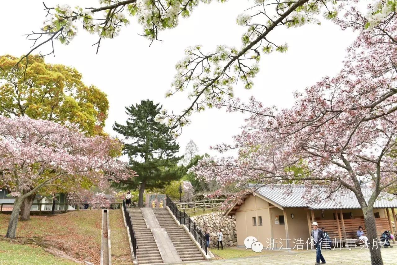 日本川崎旅游攻略-日本川崎有什么好玩的(图27) 日本川崎有什么好玩的_日本川崎旅游攻略_日本川崎旅游景点