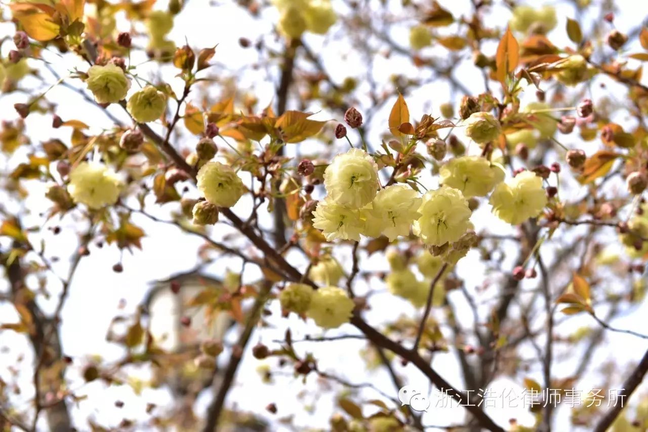 日本川崎旅游攻略-日本川崎有什么好玩的(图4) 日本川崎旅游攻略_日本川崎有什么好玩的_日本川崎旅游景点