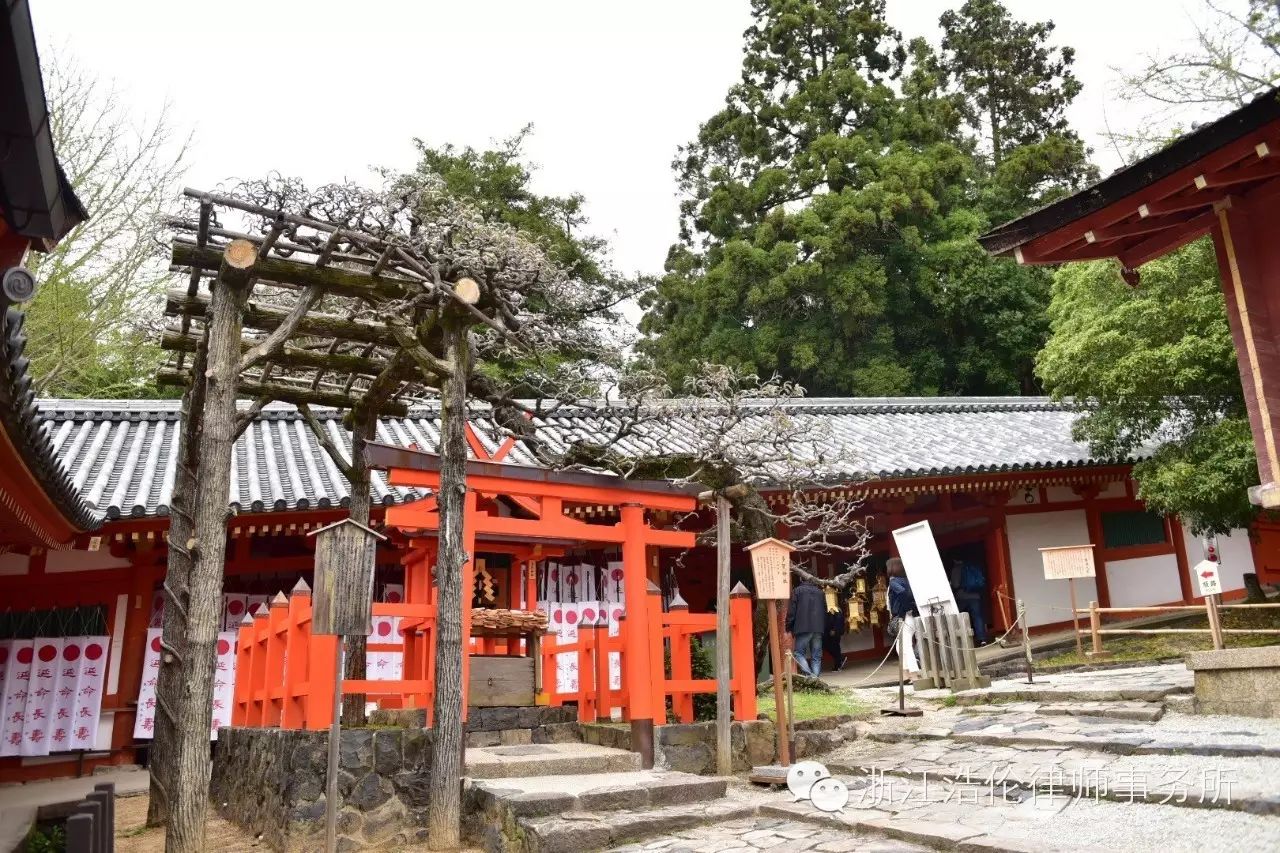 日本川崎旅游攻略-日本川崎有什么好玩的(图31) 日本川崎旅游景点_日本川崎旅游攻略_日本川崎有什么好玩的