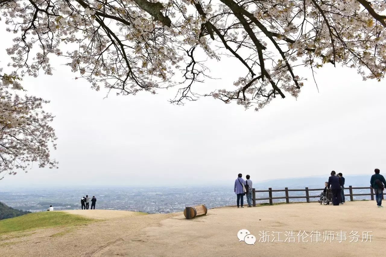 日本川崎旅游攻略-日本川崎有什么好玩的(图38) 日本川崎有什么好玩的_日本川崎旅游攻略_日本川崎旅游景点