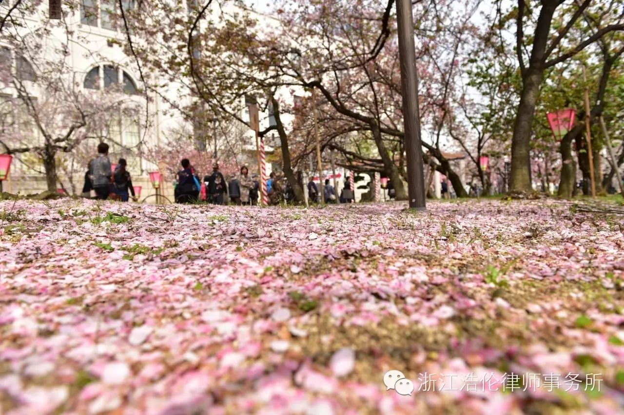 日本川崎旅游攻略-日本川崎有什么好玩的(图5) 日本川崎有什么好玩的_日本川崎旅游攻略_日本川崎旅游景点