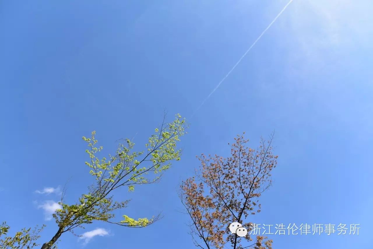 日本川崎旅游攻略-日本川崎有什么好玩的(图49) 日本川崎旅游景点_日本川崎旅游攻略_日本川崎有什么好玩的